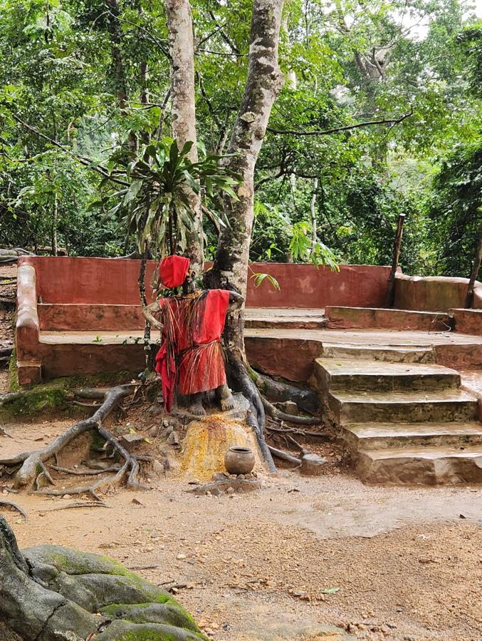 Sacred Grove Scene