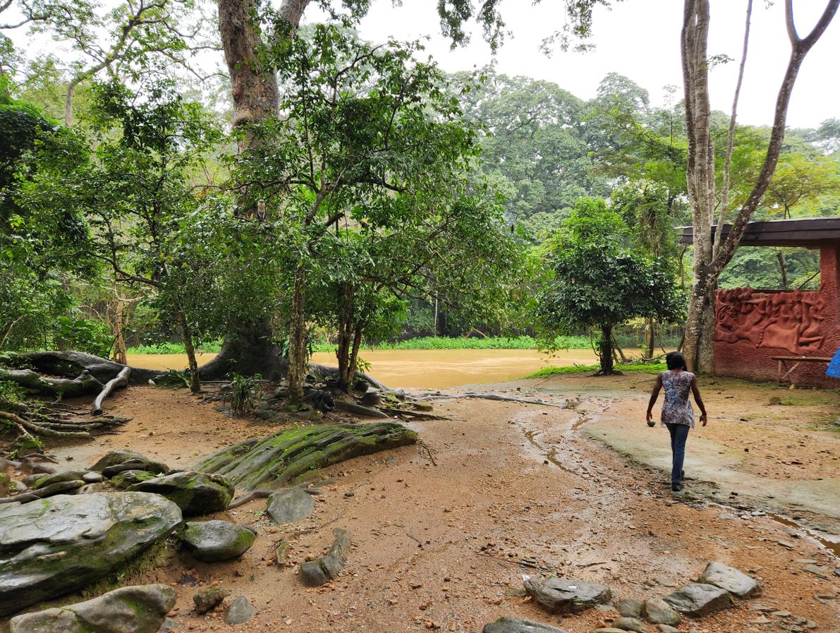 Sacred Grove Scene