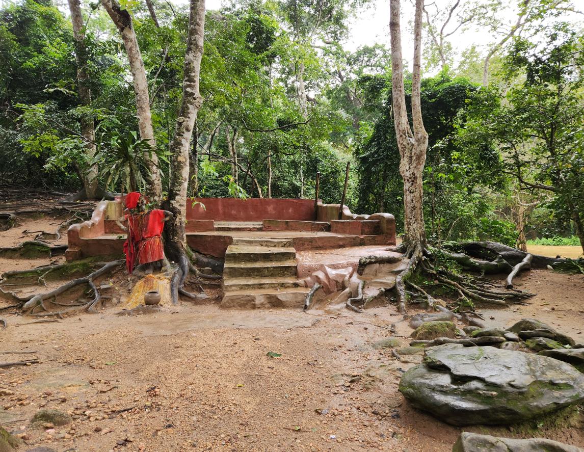 Sacred Grove Scene