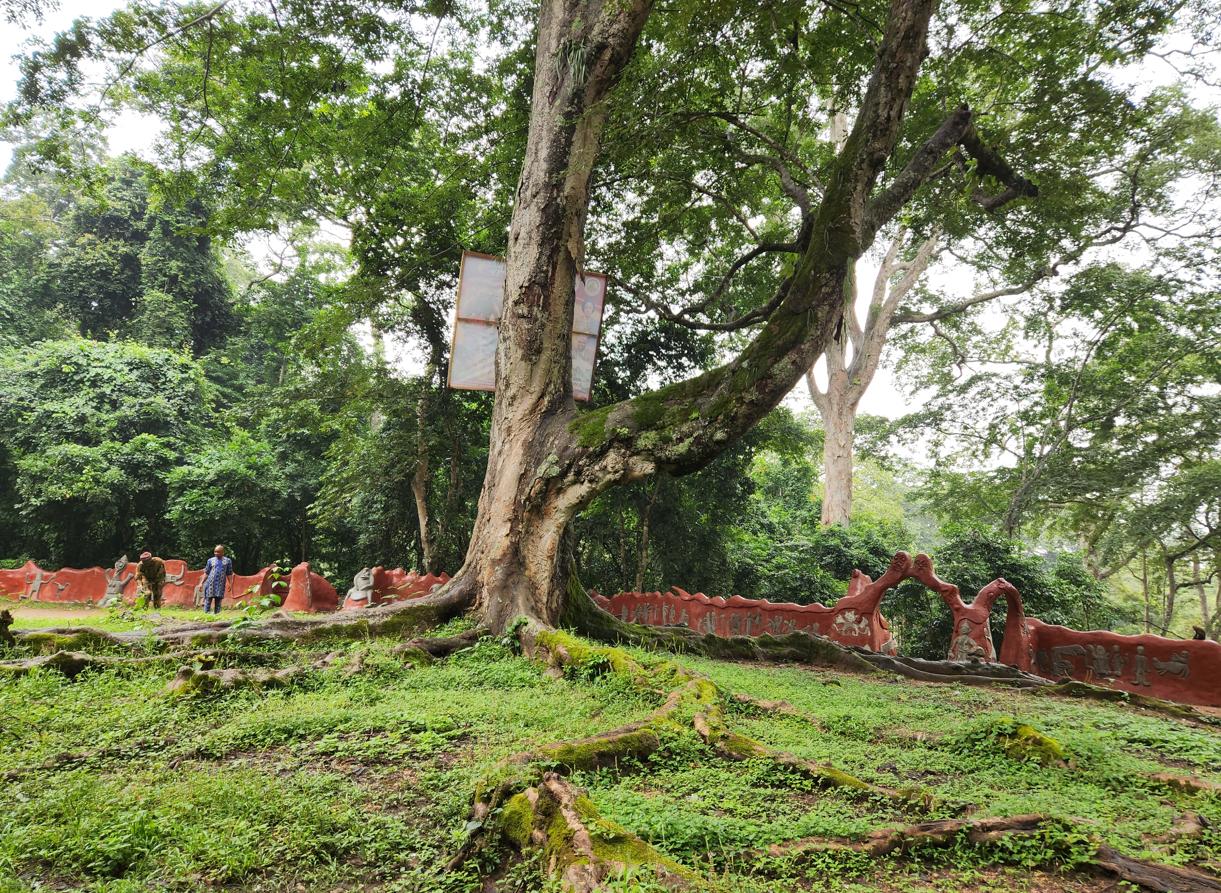 Sacred Grove Scene