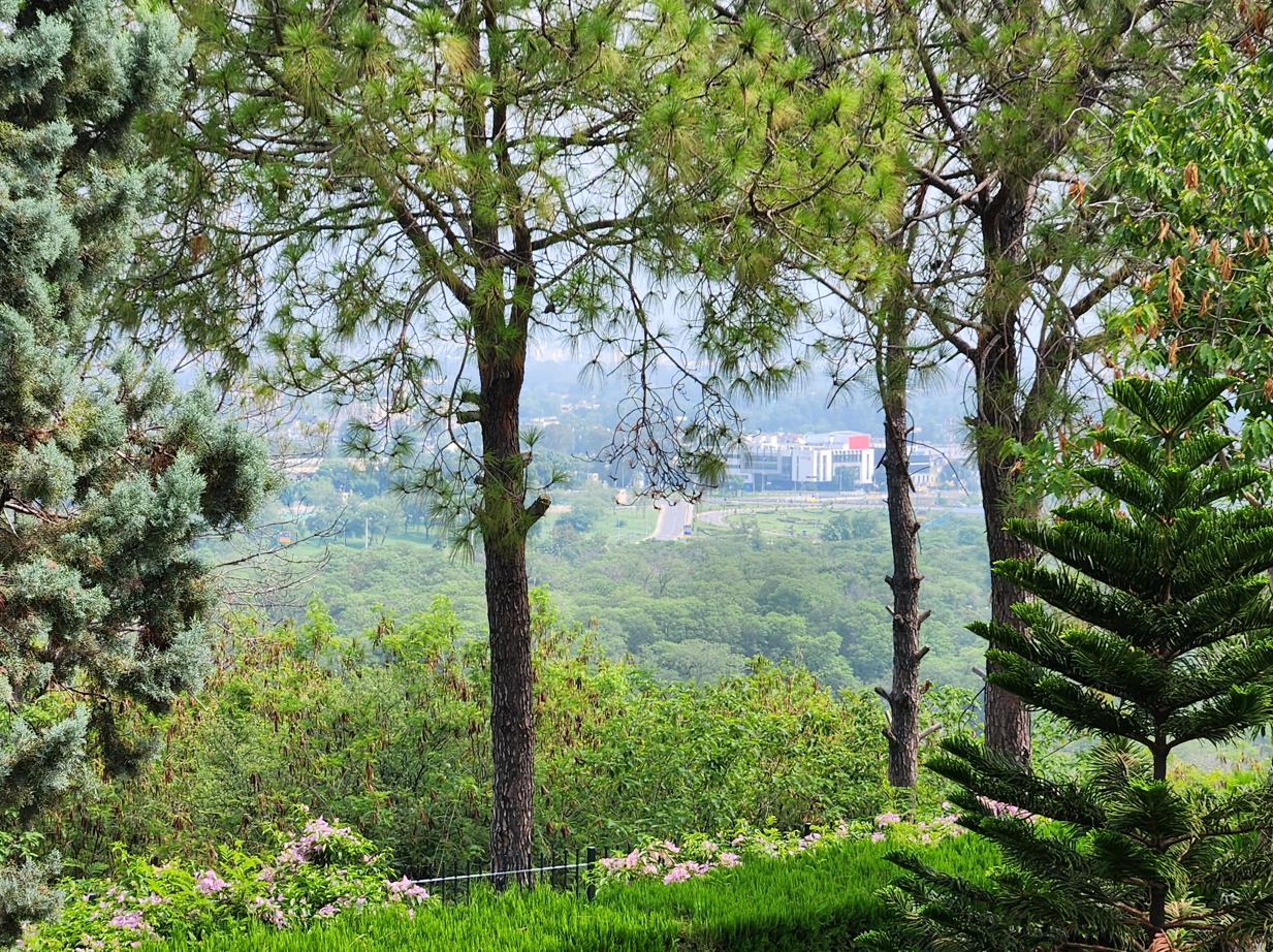 Islamabad Planned Cityscape