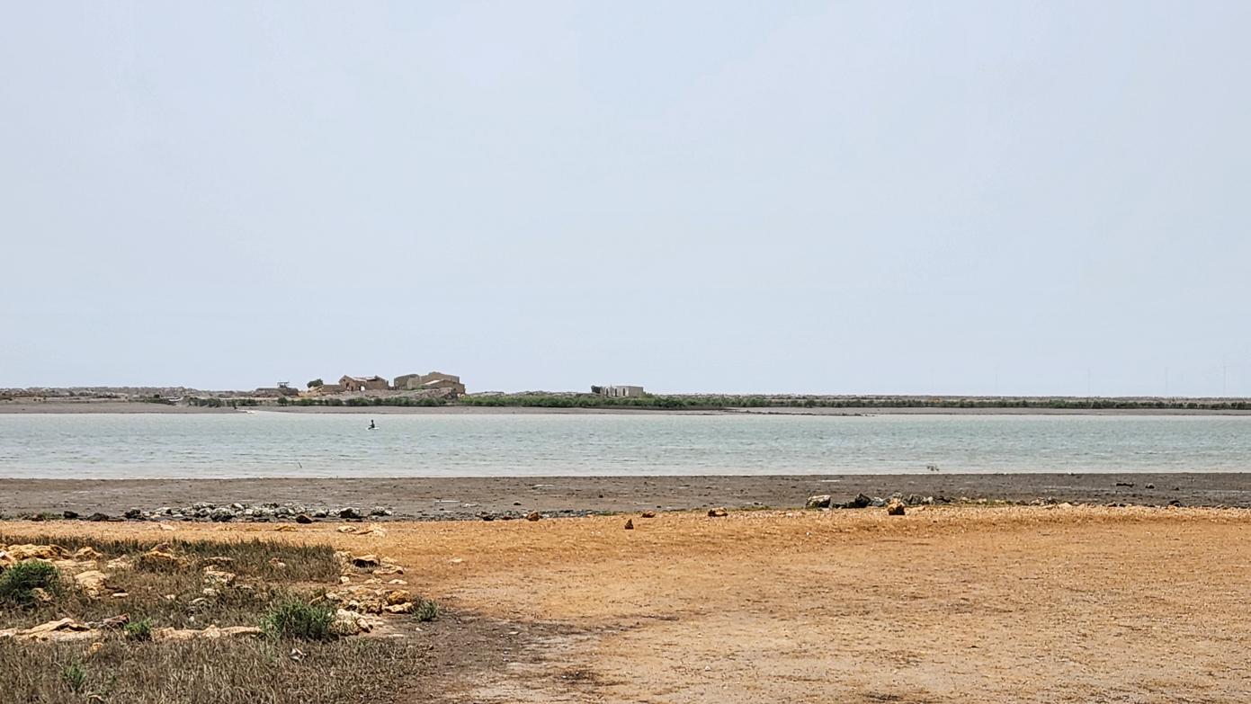 2c12.jpg