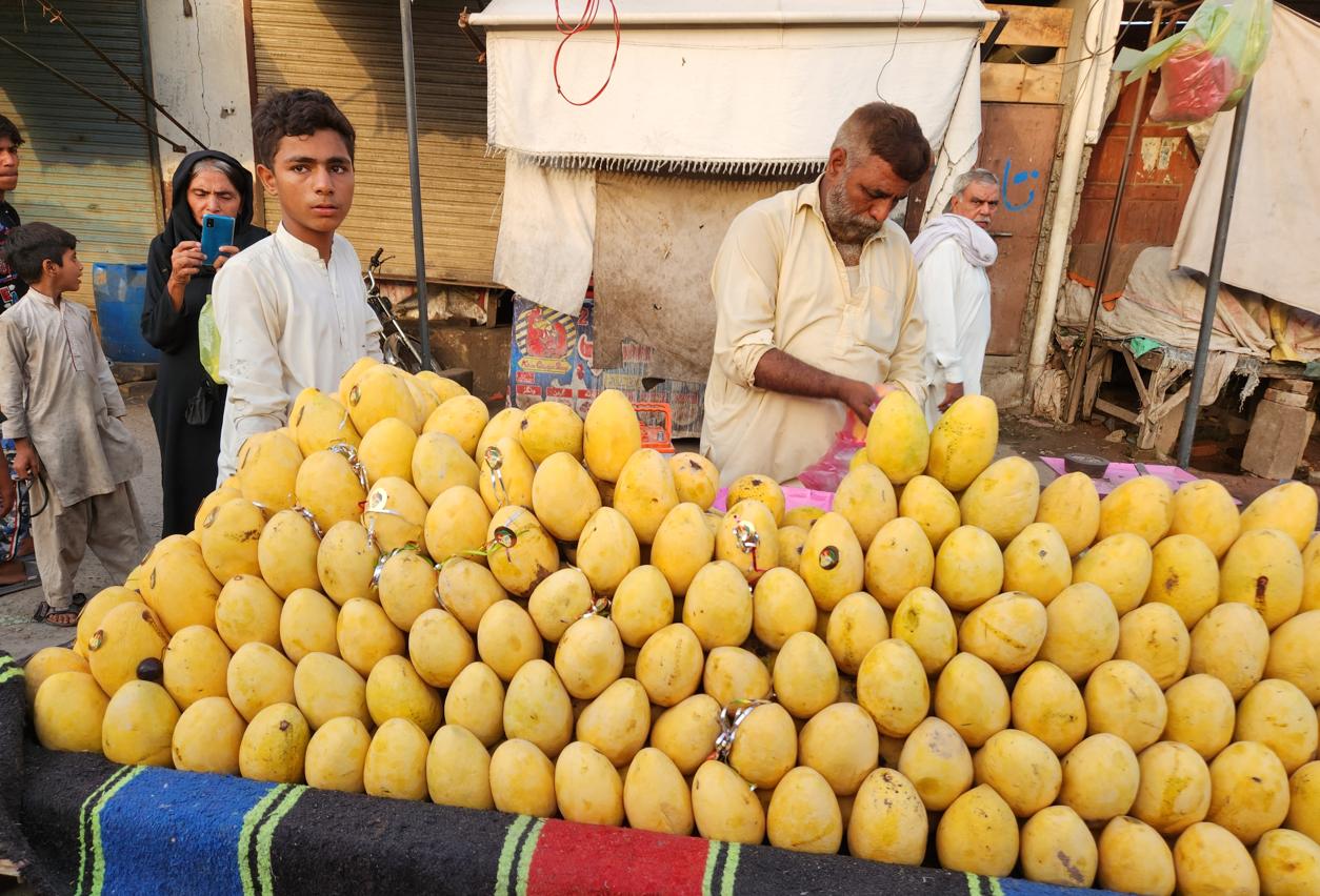 Local store signs in Multan