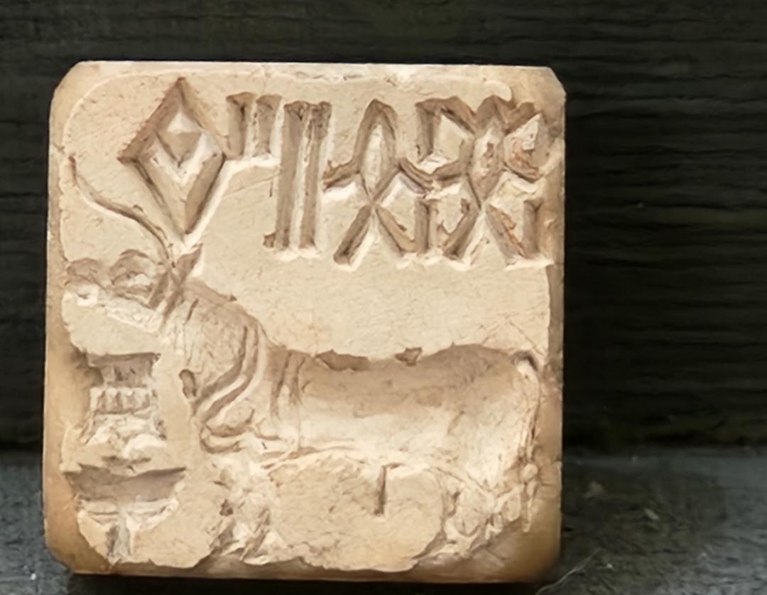 Uncovered foundations in Harappa