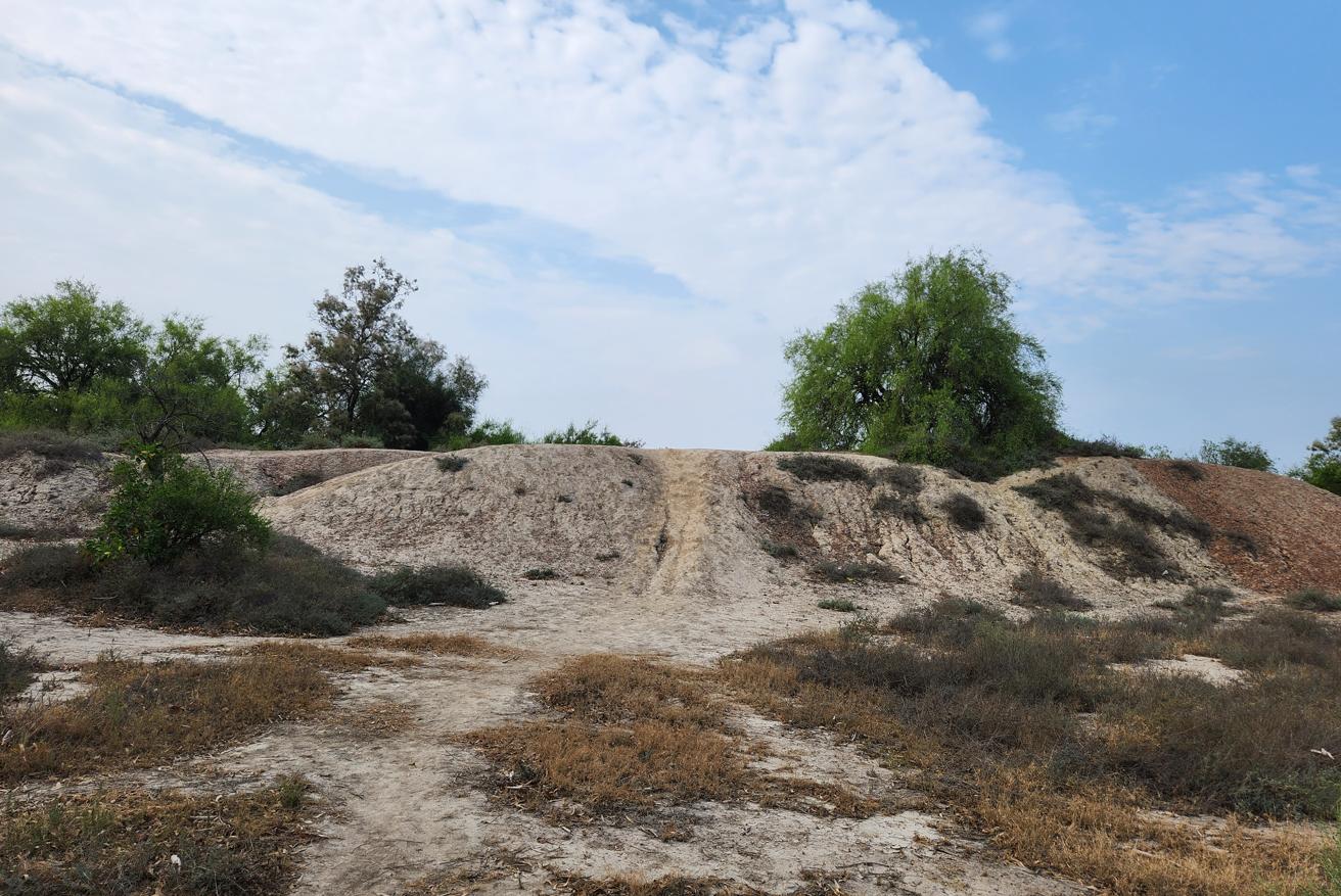 Harappa landscape structures