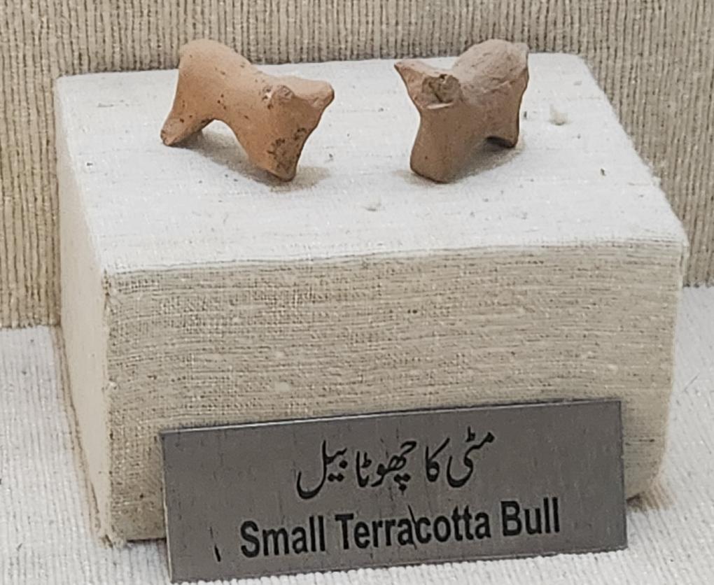 Harappa heritage museum artifacts