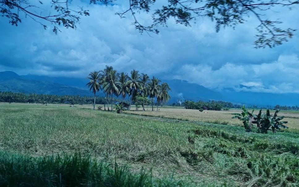 Lake Singkarak scene