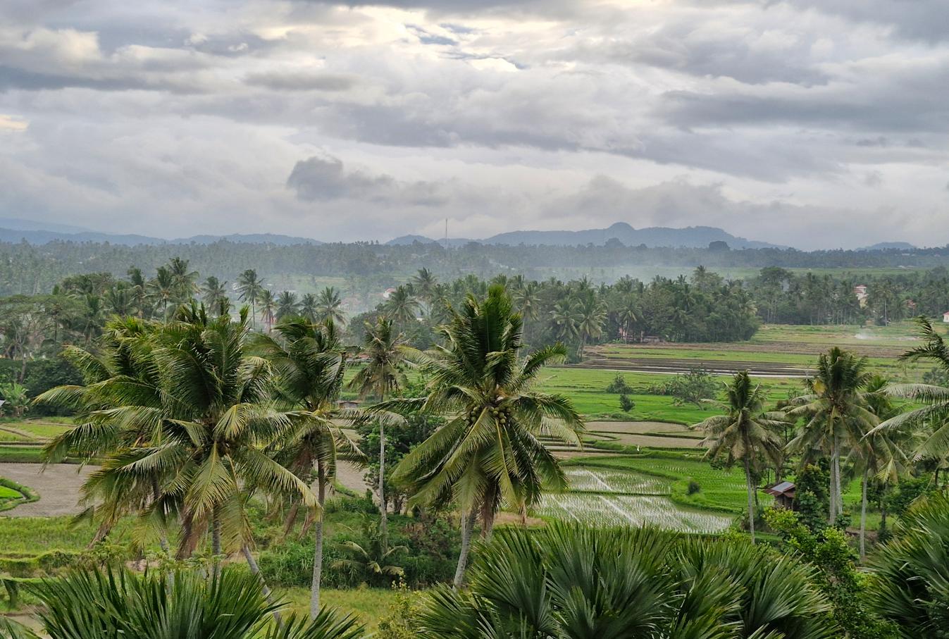 Sumatra Journey