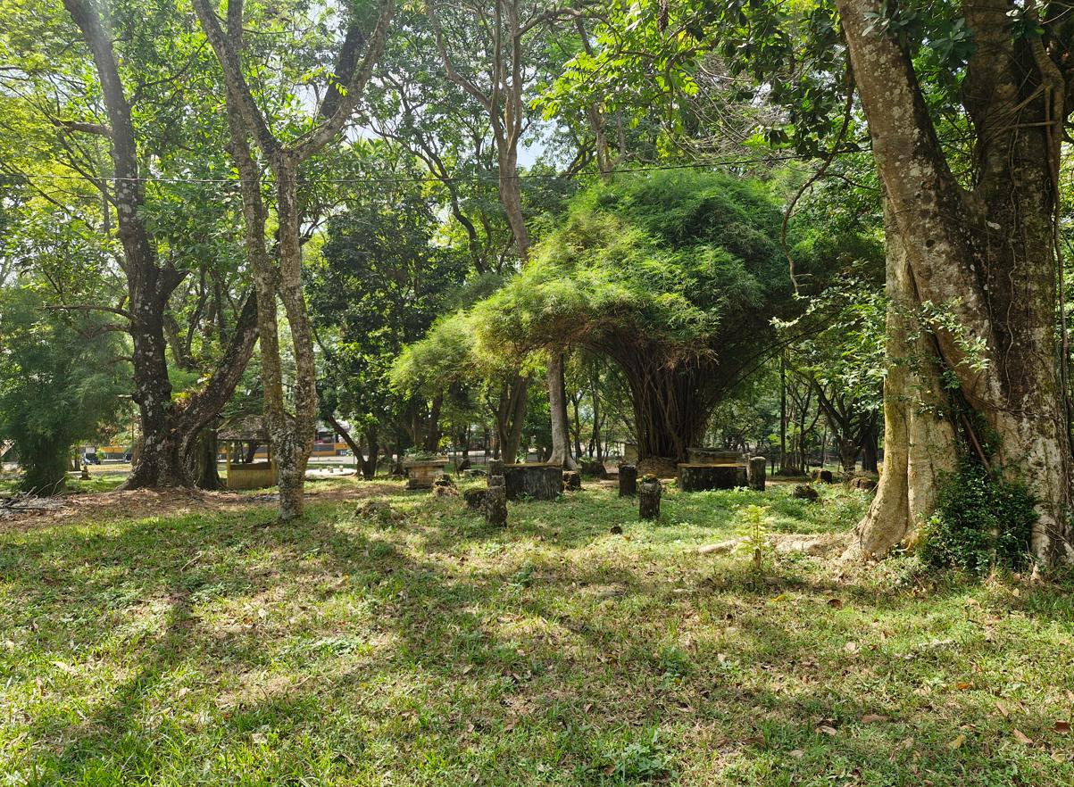 Bukit Siguntang Grounds