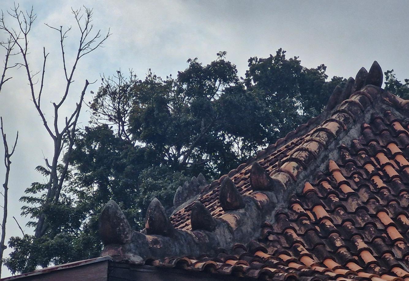 Heritage Wood Carvings